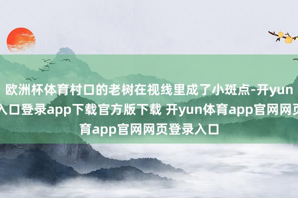 欧洲杯体育村口的老树在视线里成了小斑点-开yun体育官网入口登录app下载官方版下载 开yun体育app官网网页登录入口