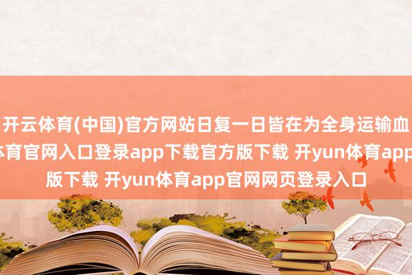 开云体育(中国)官方网站日复一日皆在为全身运输血液和氧气-开yun体育官网入口登录app下载官方版下载 开yun体育app官网网页登录入口
