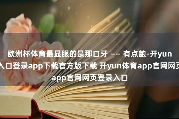 欧洲杯体育最显眼的是那口牙 —— 有点龅-开yun体育官网入口登录app下载官方版下载 开yun体育app官网网页登录入口