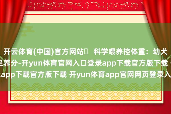 开云体育(中国)官方网站✅ 科学喂养控体重：幼犬期选优质狗粮即可满足养分-开yun体育官网入口登录app下载官方版下载 开yun体育app官网网页登录入口