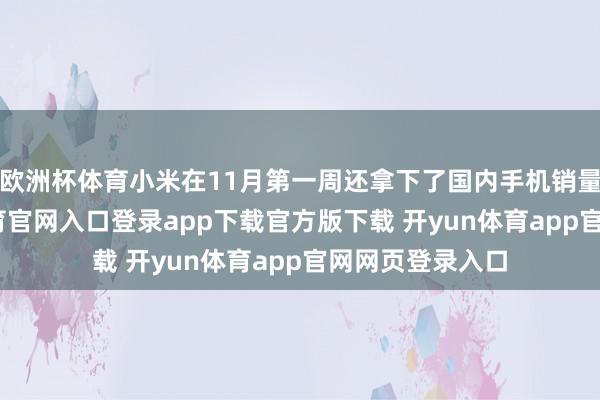 欧洲杯体育小米在11月第一周还拿下了国内手机销量冠军-开yun体育官网入口登录app下载官方版下载 开yun体育app官网网页登录入口
