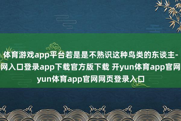 体育游戏app平台若是是不熟识这种鸟类的东谈主-开yun体育官网入口登录app下载官方版下载 开yun体育app官网网页登录入口