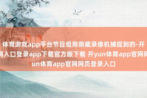 体育游戏app平台节目组用荫藏录像机捕捉到的-开yun体育官网入口登录app下载官方版下载 开yun体育app官网网页登录入口