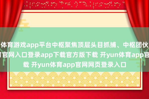 体育游戏app平台中枢聚焦顶层头目抓捕、中枢团伙领悟-开yun体育官网入口登录app下载官方版下载 开yun体育app官网网页登录入口