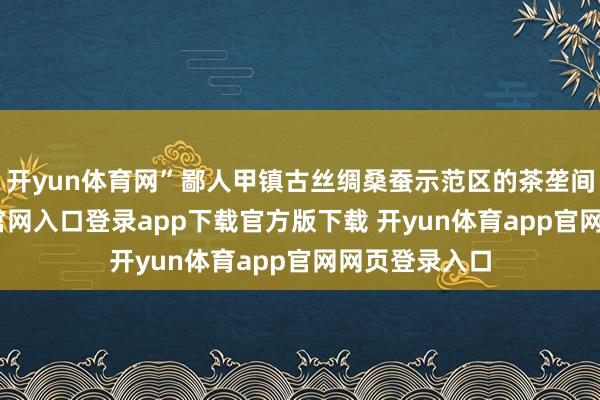 开yun体育网”鄙人甲镇古丝绸桑蚕示范区的茶垄间-开yun体育官网入口登录app下载官方版下载 开yun体育app官网网页登录入口
