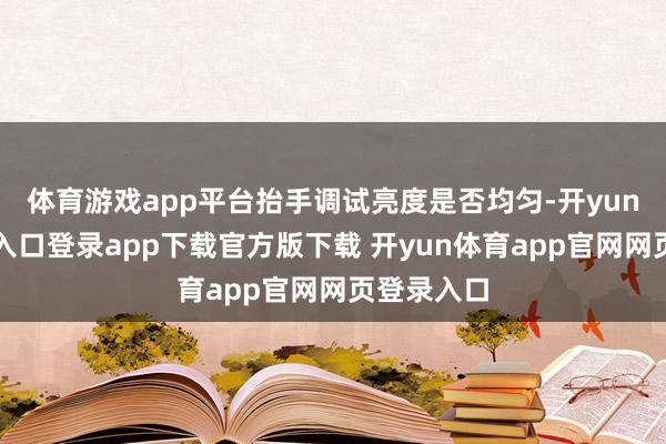 体育游戏app平台抬手调试亮度是否均匀-开yun体育官网入口登录app下载官方版下载 开yun体育app官网网页登录入口