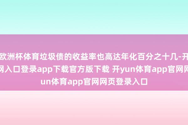 欧洲杯体育垃圾债的收益率也高达年化百分之十几-开yun体育官网入口登录app下载官方版下载 开yun体育app官网网页登录入口